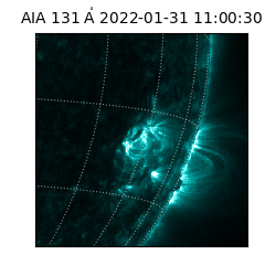 saia - 2022-01-31T11:00:30.646000
