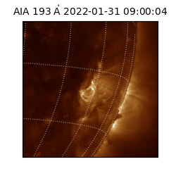 saia - 2022-01-31T09:00:04.843000