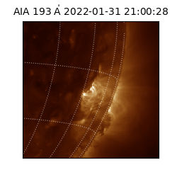 saia - 2022-01-31T21:00:28.843000
