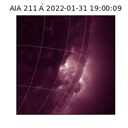 saia - 2022-01-31T19:00:09.632000