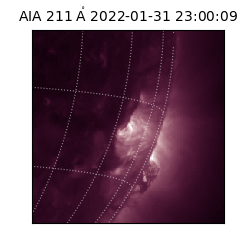 saia - 2022-01-31T23:00:09.630000