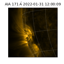 saia - 2022-01-31T12:00:09.352000