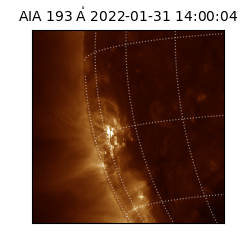 saia - 2022-01-31T14:00:04.843000