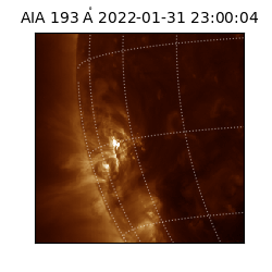 saia - 2022-01-31T23:00:04.843000