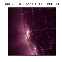 saia - 2022-01-31T09:00:09.631000
