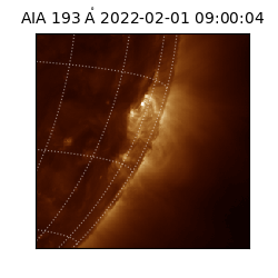 saia - 2022-02-01T09:00:04.843000