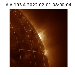 saia - 2022-02-01T08:00:04.843000