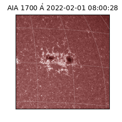 saia - 2022-02-01T08:00:28.746000