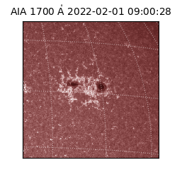 saia - 2022-02-01T09:00:28.747000