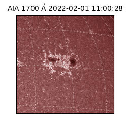 saia - 2022-02-01T11:00:28.746000
