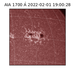 saia - 2022-02-01T19:00:28.745000