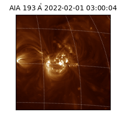 saia - 2022-02-01T03:00:04.846000