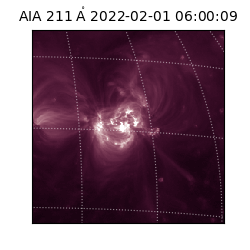 saia - 2022-02-01T06:00:09.630000