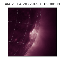 saia - 2022-02-01T09:00:09.630000