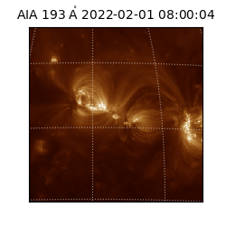 saia - 2022-02-01T08:00:04.843000