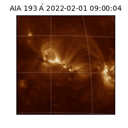 saia - 2022-02-01T09:00:04.843000