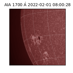 saia - 2022-02-01T08:00:28.746000