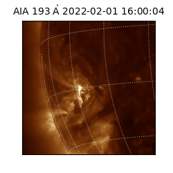 saia - 2022-02-01T16:00:04.843000
