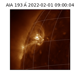 saia - 2022-02-01T09:00:04.843000