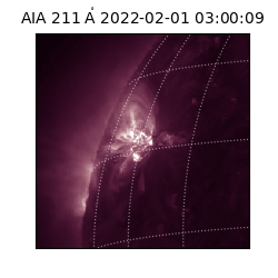 saia - 2022-02-01T03:00:09.626000