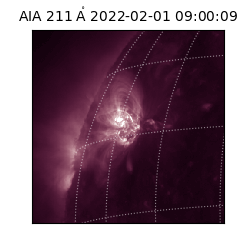 saia - 2022-02-01T09:00:09.630000