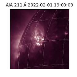 saia - 2022-02-01T19:00:09.625000