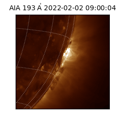 saia - 2022-02-02T09:00:04.835000