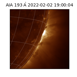 saia - 2022-02-02T19:00:04.843000