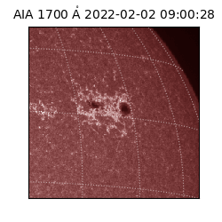 saia - 2022-02-02T09:00:28.746000