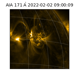 saia - 2022-02-02T09:00:09.342000