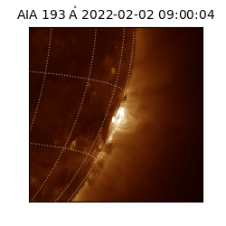 saia - 2022-02-02T09:00:04.835000
