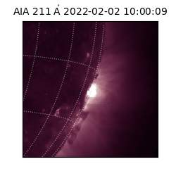 saia - 2022-02-02T10:00:09.618000