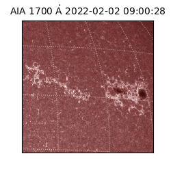 saia - 2022-02-02T09:00:28.746000