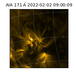 saia - 2022-02-02T09:00:09.342000