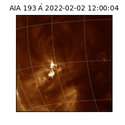 saia - 2022-02-02T12:00:04.843000