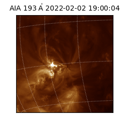 saia - 2022-02-02T19:00:04.843000