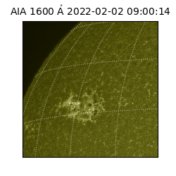 saia - 2022-02-02T09:00:14.118000