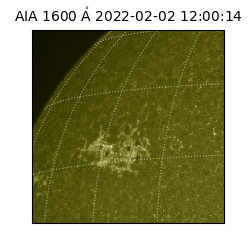 saia - 2022-02-02T12:00:14.126000