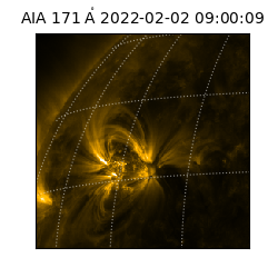 saia - 2022-02-02T09:00:09.342000