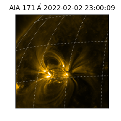 saia - 2022-02-02T23:00:09.350000