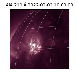 saia - 2022-02-02T10:00:09.618000