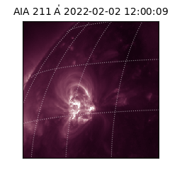 saia - 2022-02-02T12:00:09.626000