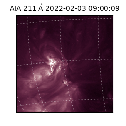 saia - 2022-02-03T09:00:09.626000