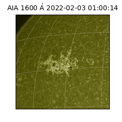 saia - 2022-02-03T01:00:14.130000