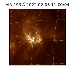 saia - 2022-02-03T11:00:04.843000