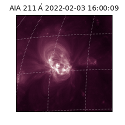 saia - 2022-02-03T16:00:09.629000