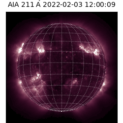 saia - 2022-02-03T12:00:00