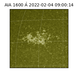 saia - 2022-02-04T09:00:14.126000