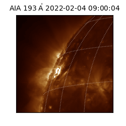 saia - 2022-02-04T09:00:04.843000
