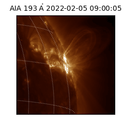 saia - 2022-02-05T09:00:05.470000